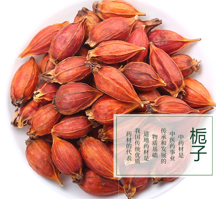 山栀子 传统中药材与现代应用